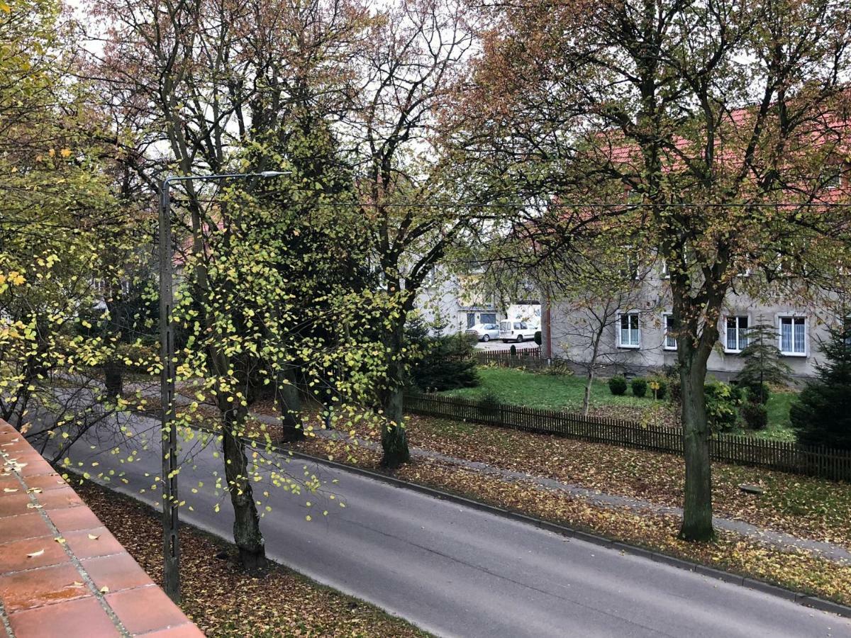 Apartament Perla Kartuz Z Sauna Kartuzy Dış mekan fotoğraf