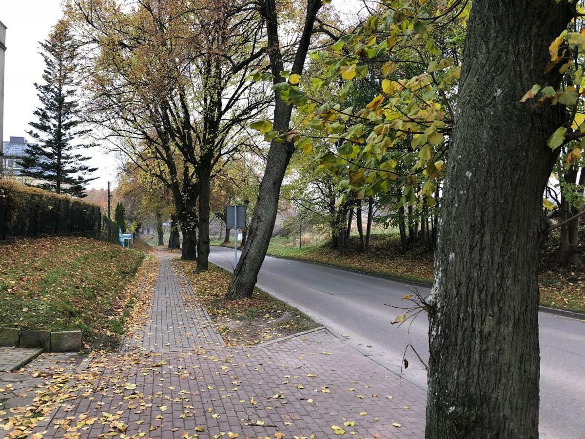 Apartament Perla Kartuz Z Sauna Kartuzy Dış mekan fotoğraf